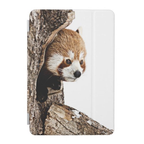 Red Panda Peek_a_Boo iPad Mini Cover