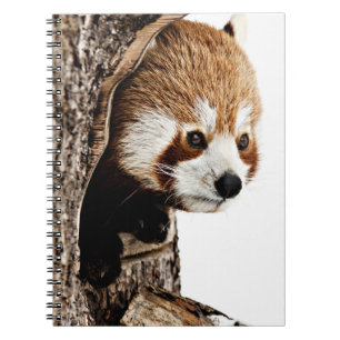 Red Panda Peek-a-Boo  Notebook