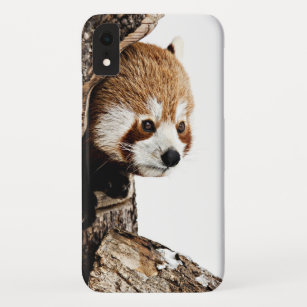 Red panda peeking out from a tree trunk iPhone XR case