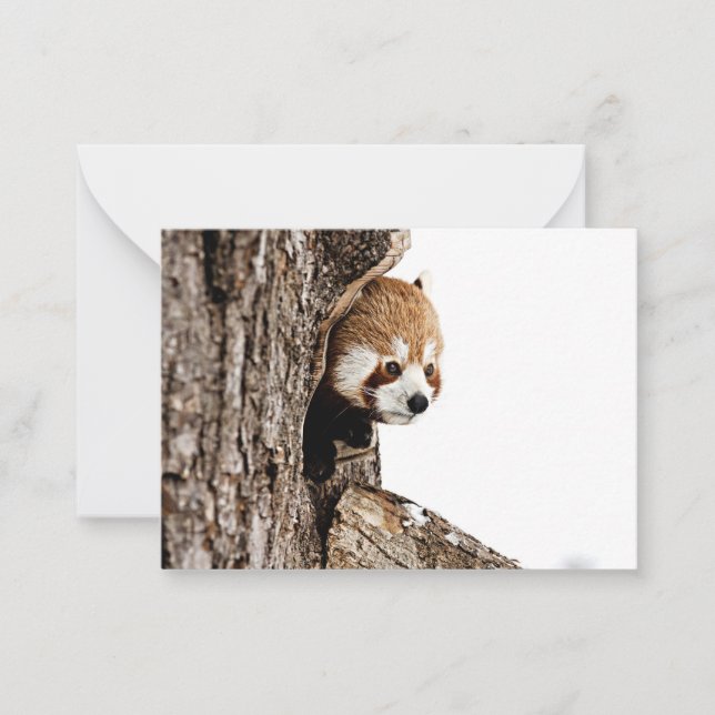 Red panda peeking out from a tree trunk note card (Front)