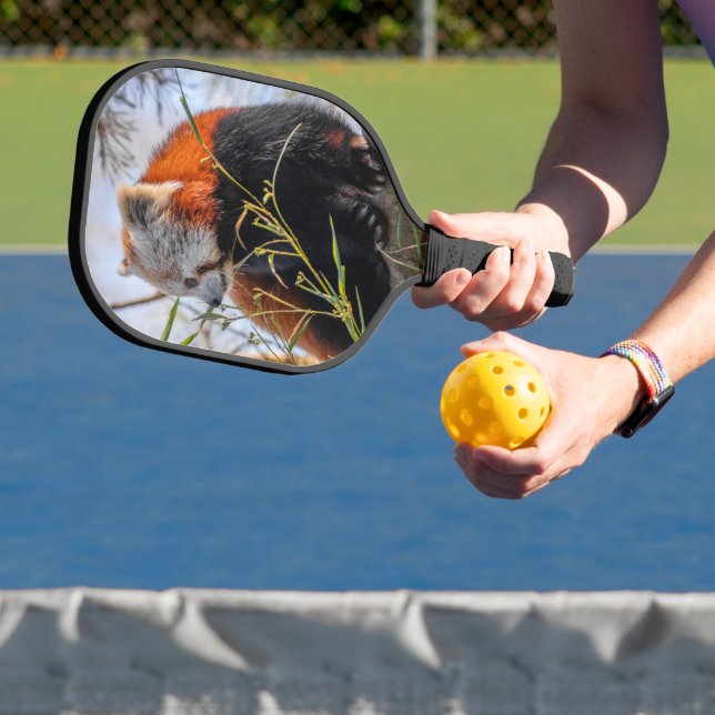 Red panda pickleball paddle (Insitu)