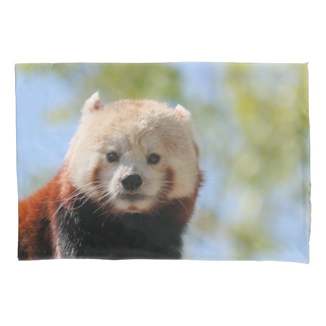 Red Panda Pillow Case (Front)