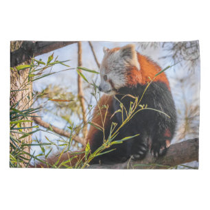 Red panda pillow case