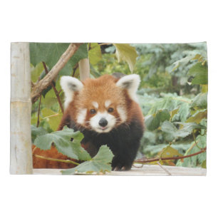Red Panda Pillow Case