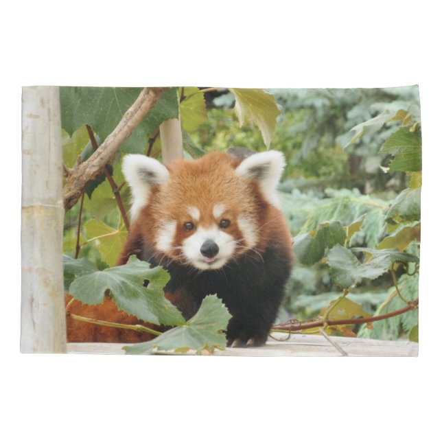 Red Panda Pillow Case (Back)