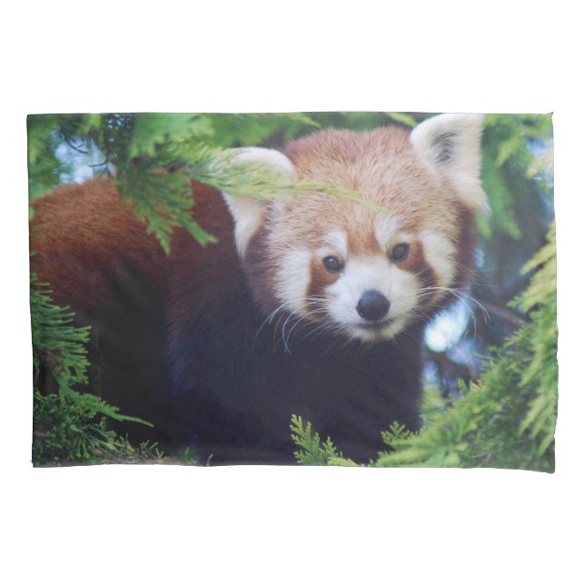Red Panda Pillowcase (Front)