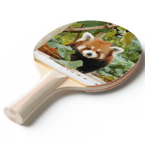 Red Panda Ping Pong Paddle