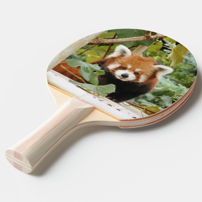 Red Panda Ping Pong Paddle (Back Angle)