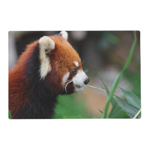 Red panda placemat