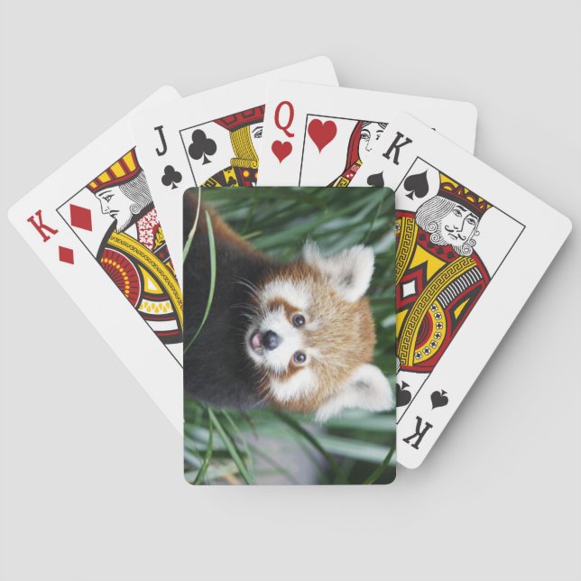 Red Panda Playing Cards (Back)