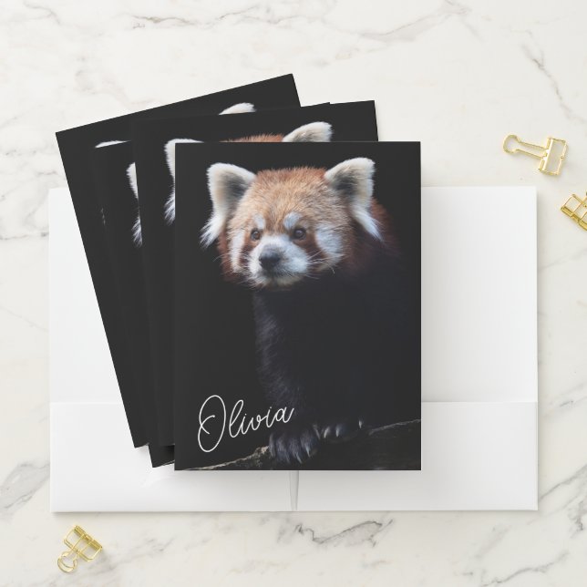 Red Panda Pocket Folder (In Situ)