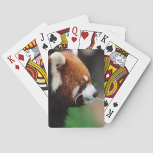 Red panda poker cards