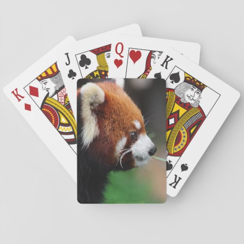Red panda poker cards