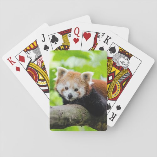 Red Panda Poker Cards