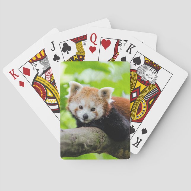 Red Panda Poker Cards (Back)