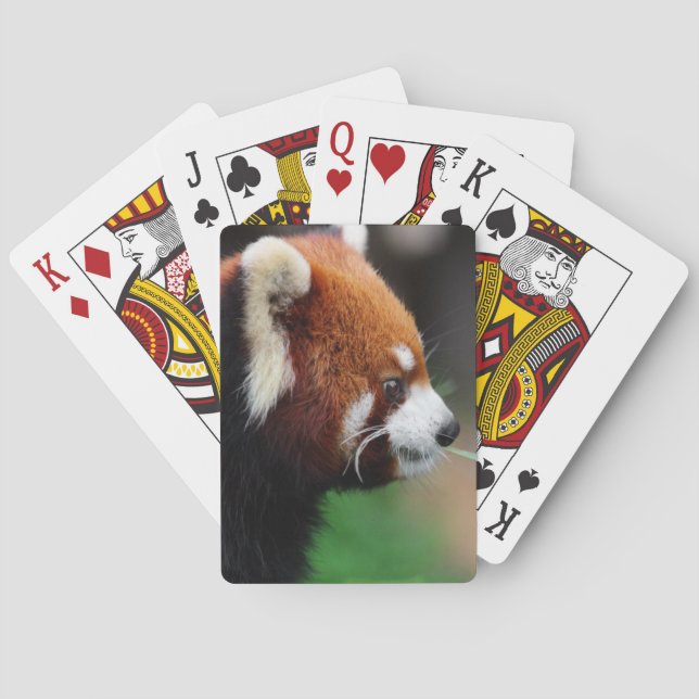 Red panda poker cards (Back)