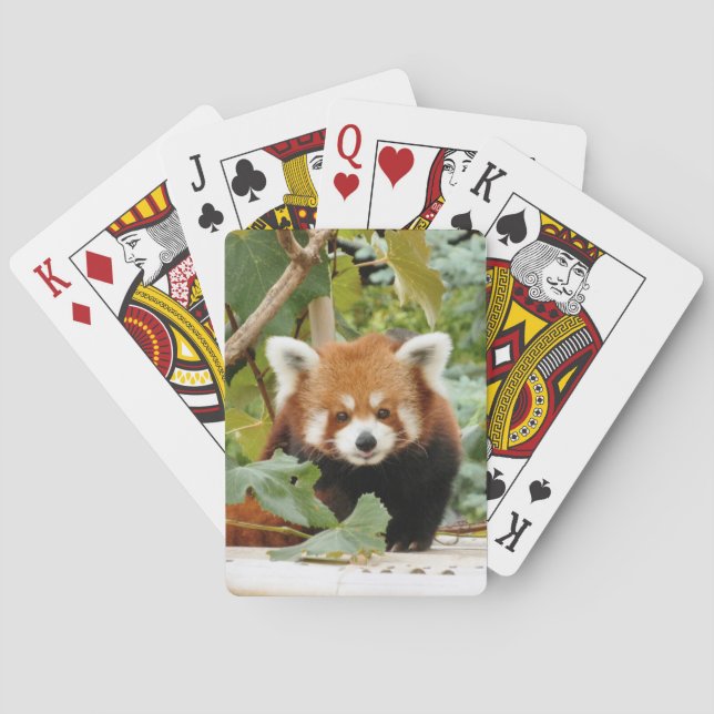 Red Panda Poker Cards (Back)