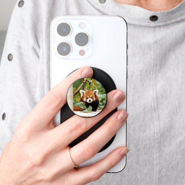 Red Panda PopSocket (Hand)