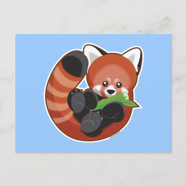 Red Panda Postcard (Front)