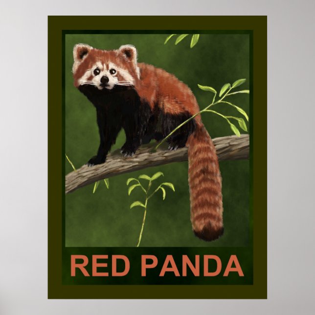Red Panda Poster (Front)