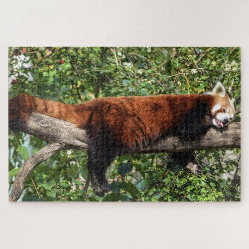 red panda puzzle