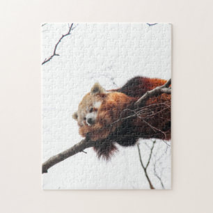 Red Panda Puzzle/Jigsaw Jigsaw Puzzle