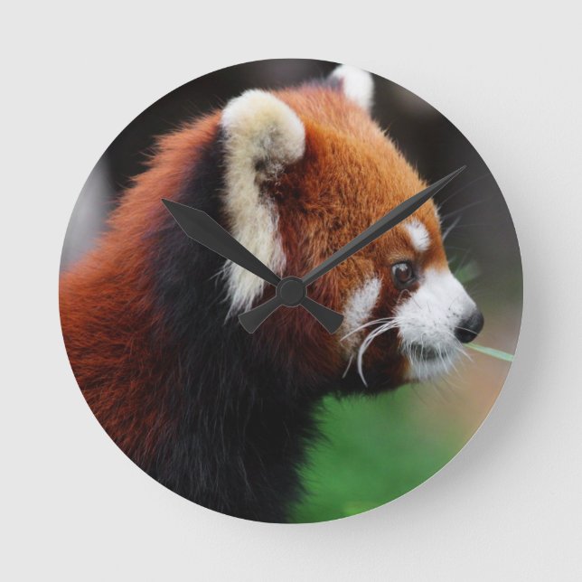 Red panda round clock (Front)