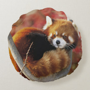 red panda pillow