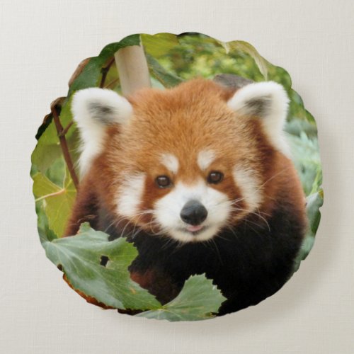 Red Panda Round Pillow