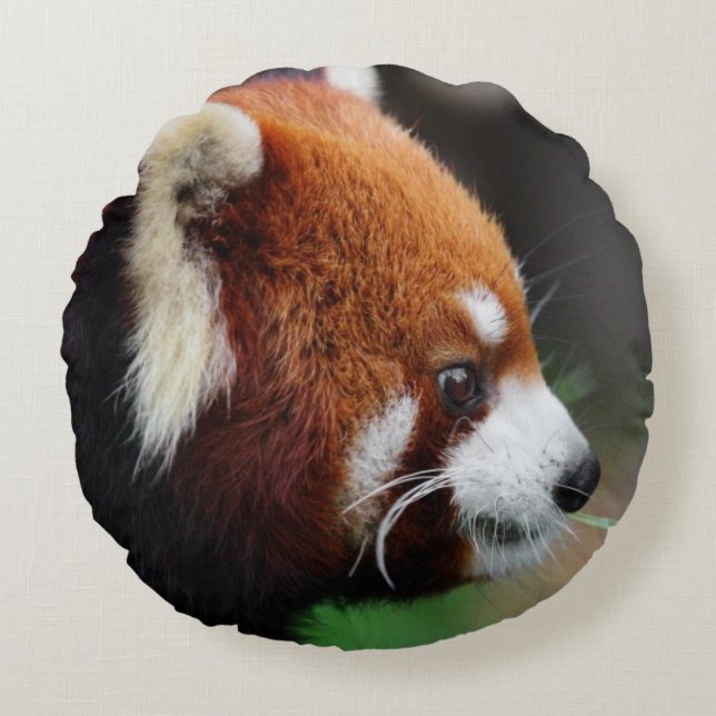 Red panda round pillow (Front)