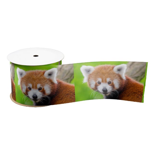 Red Panda Satin Ribbon (Spool)