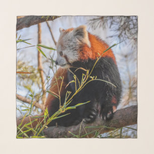 Red panda scarf