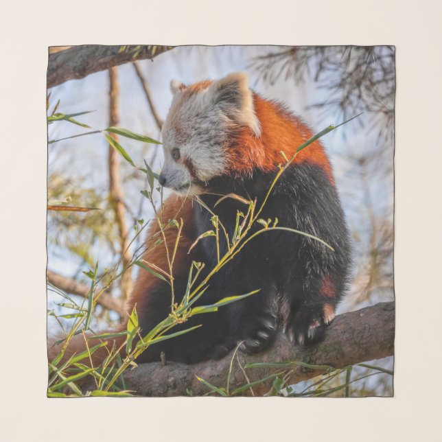 Red panda scarf (Front)