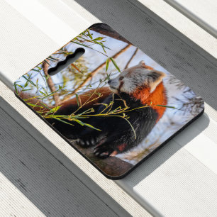 Red panda seat cushion