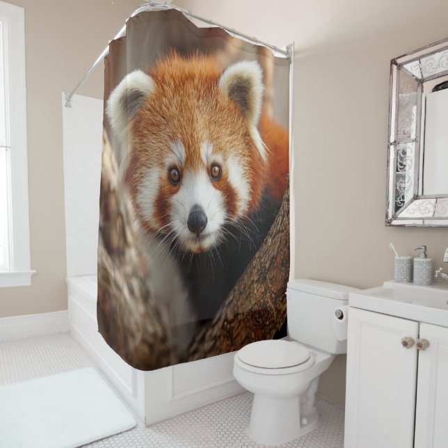 Red Panda Shower Curtain (In Situ)