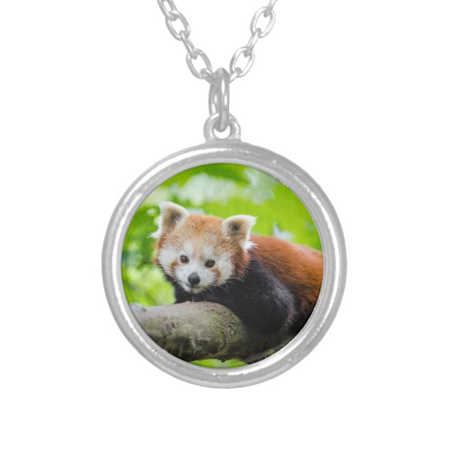 Red Panda Silver Plated Necklace (Front)