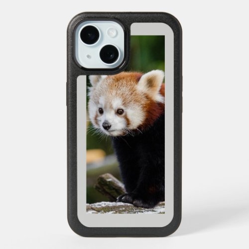 Red Panda Sitting On Snowy Log Photo iPhone 15 Case