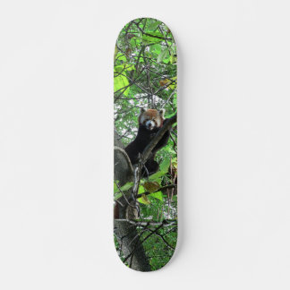 Red Panda Skateboard