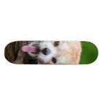 Red Panda Skateboard