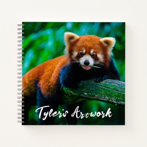 Red Panda Sketchbook  Notebook