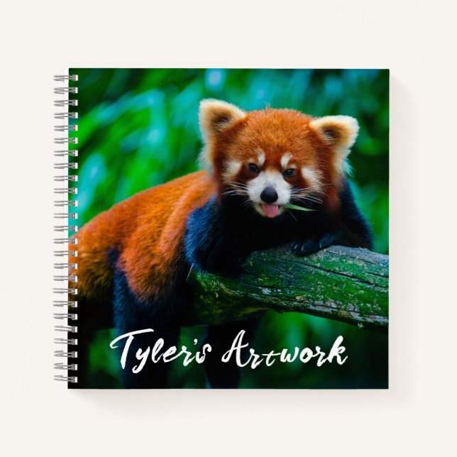 Red Panda Sketchbook  Notebook (Front)