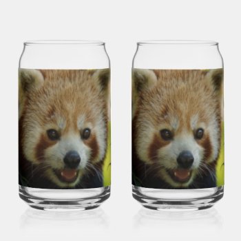Red Panda Small  Can Glass by MehrFarbeImLeben at Zazzle