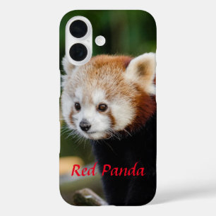Red Panda Snowy Log Picture iPhone 16 Case