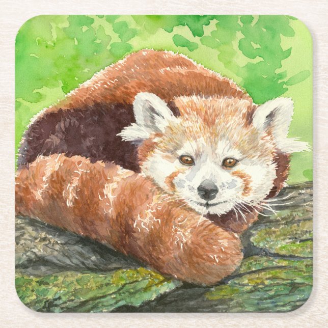 Red panda square paper coaster (Front)