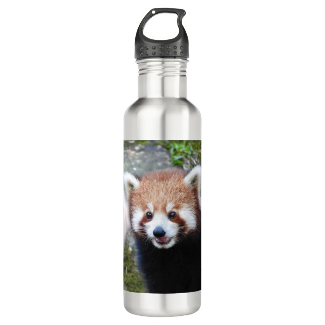 Red Panda Stainless Steel Water Bottle (Front)