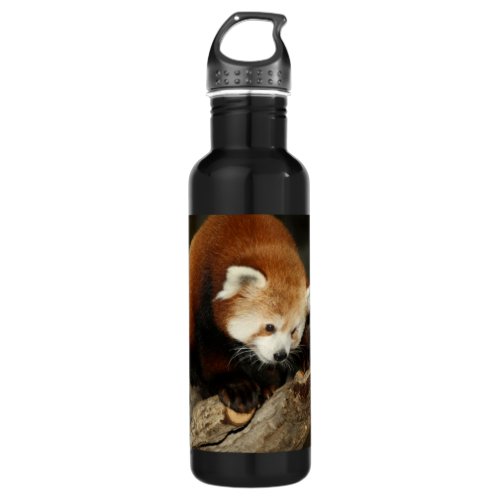 Red Panda Stainless Steel Water Bottle
