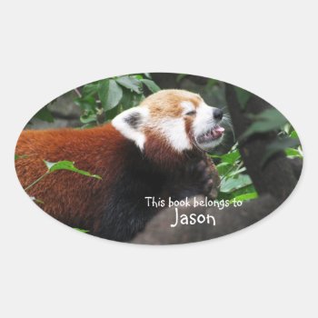 Red Panda Sticking Its Tongue Out Oval Sticker by JellyRollDesigns at Zazzle