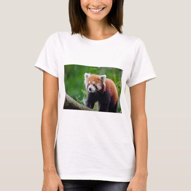 Red Panda T-Shirt (Front)
