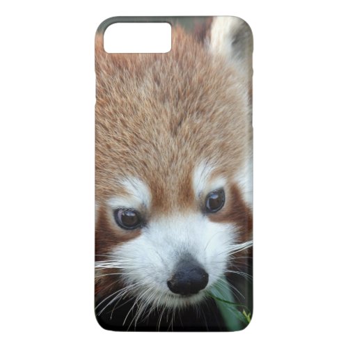 Red Panda Taronga Zoo Sydney Australia iPhone 8 Plus7 Plus Case