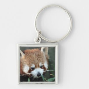Red Panda, Taronga Zoo, Sydney, Australia Keychain